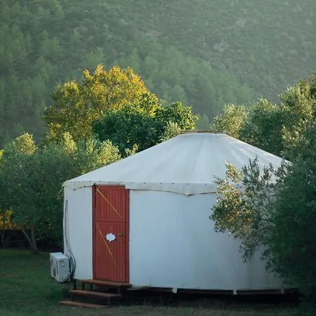 Kamp alanı Yol Glamping Kayaköy