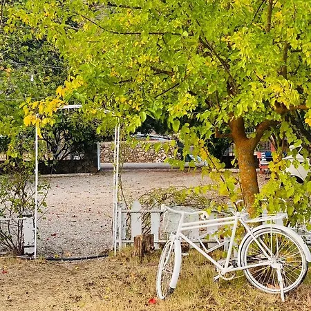 Kamp alanı Yol Glamping *