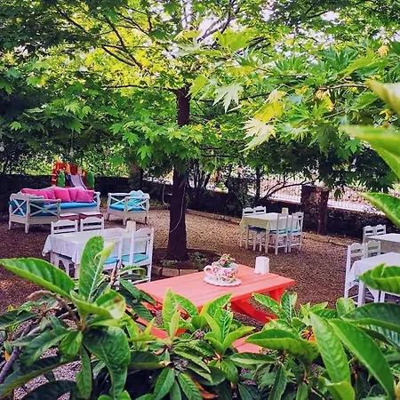 Yol Glamping Kamp alanı